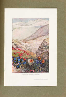 Всесоюзная полиграфическая выставка. Сборник первый. М., 1927.